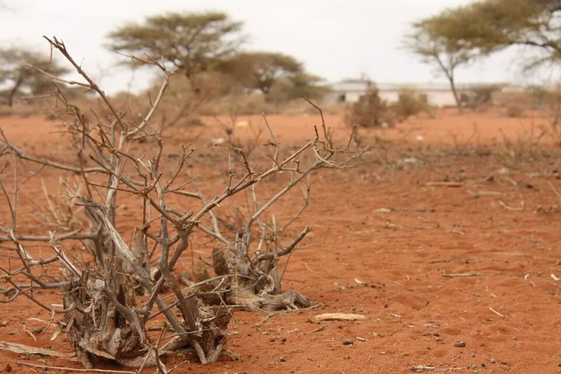 Landscapes as Libraries: How Ancient African Spatial Memory Systems Are Rewriting Cognitive Science