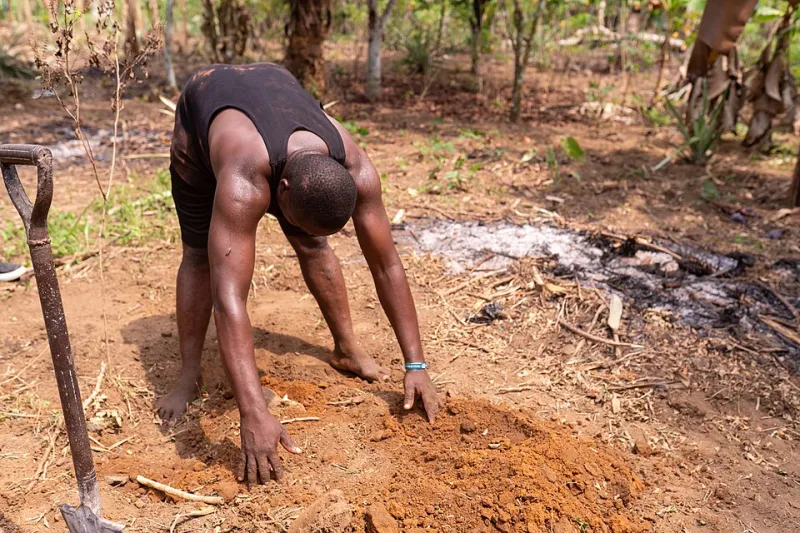 The Oldest Science on Earth: How Africa's Environmental Wisdom Is Rewriting the Climate Playbook
